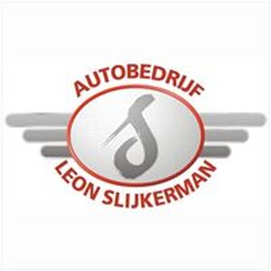 Autobedrijf Leon Slijkerman/H.O. De Haukes logo