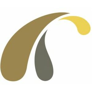 Held Drone-Service logo