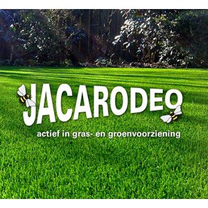 Jacarodeo logo