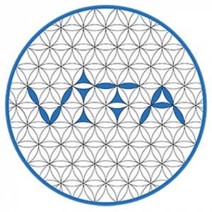 Vita Therapie logo