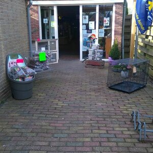 Dierenspeciaalzaak BOONIES image 1