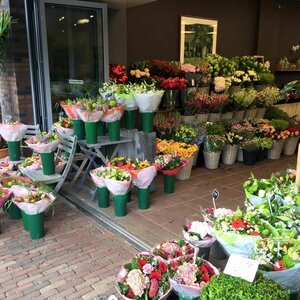 Groot in Groen image 4