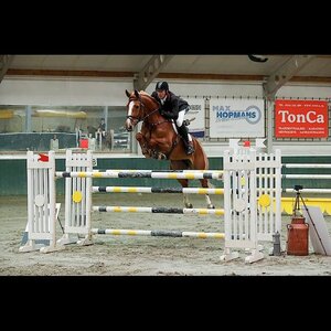 Manege Beukers image 4