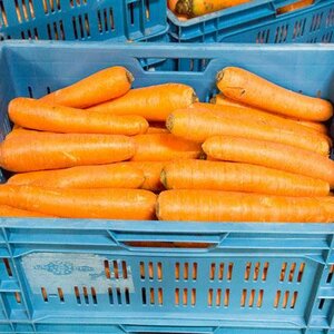 W. de Boer en Zn B.V. image 2