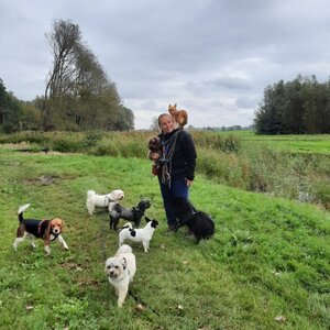 Cilla’s Hondenuitlaatservice image 1