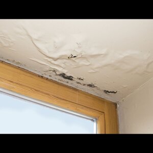 Spoedloodgieterholland & spoeddakdekkerholland image 2