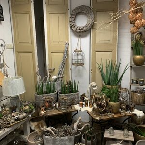 Bloemenwinkel Thuis image 2