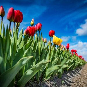 Alex F Fotografie image 2