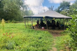 Nieuwe kinderen welkom op holistische basisschool Vovie in Bergen