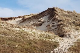 Duinwandeling 12 september Bergen aan Zee