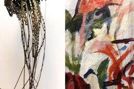 Schoorl in Blooming Bergen