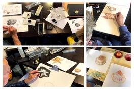 Tekenles gewild in Schoorl