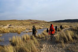 Duin- en strand-jut-wandeling