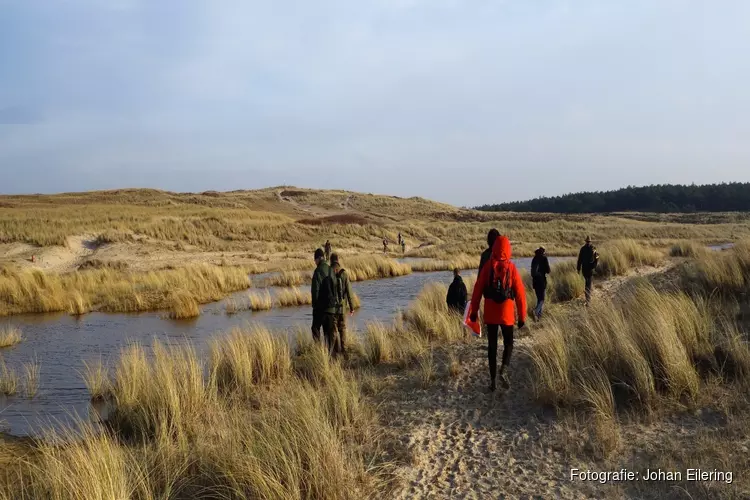 Duin- en strand-jut-wandeling