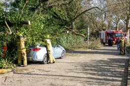 Boom valt op geparkeerde auto in Bergen