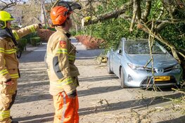 Boom valt op geparkeerde auto in Bergen