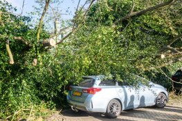 Boom valt op geparkeerde auto in Bergen