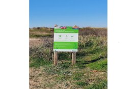 Overleden persoon gevonden in duinen Egmond aan Zee