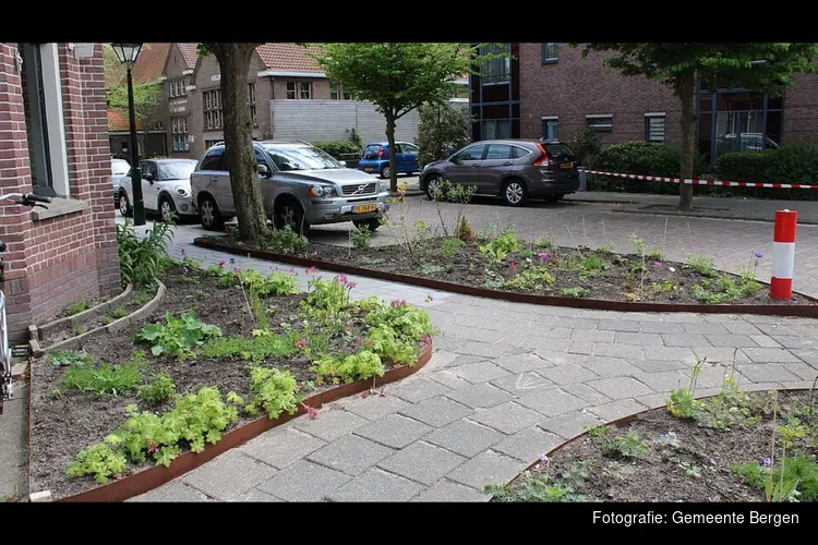Gezocht: doeners voor meer groen in de gemeente