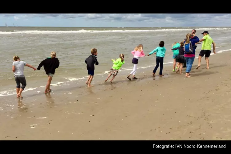 Op zondag 21 augustus ‘s ochtends vroeg met IVN-gidsen korren in de branding van Bergen aan Zee