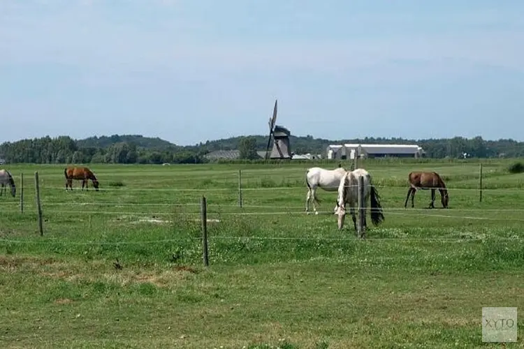Landschapsdag Weidse Polders