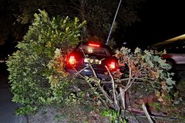 Auto belandt in tuin bij eenzijdig ongeval in Bergen
