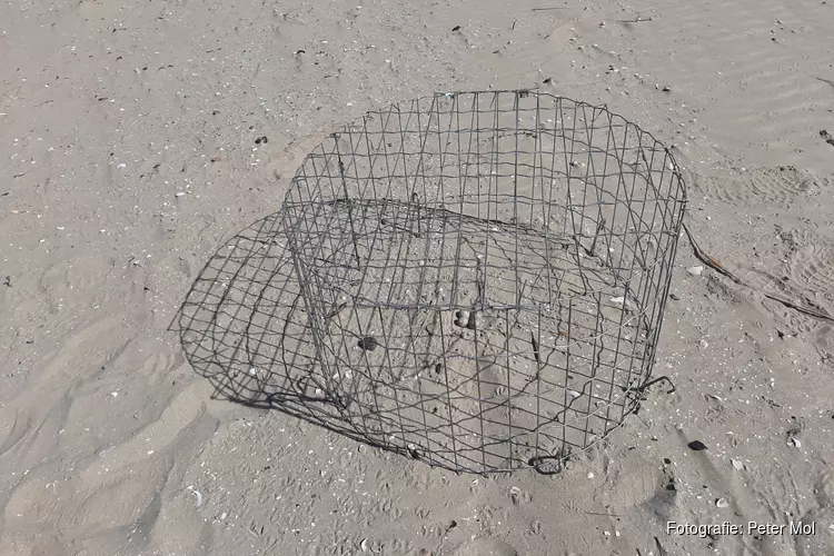 Camperduin ontvangt opnieuw de Groene Strand wimpel