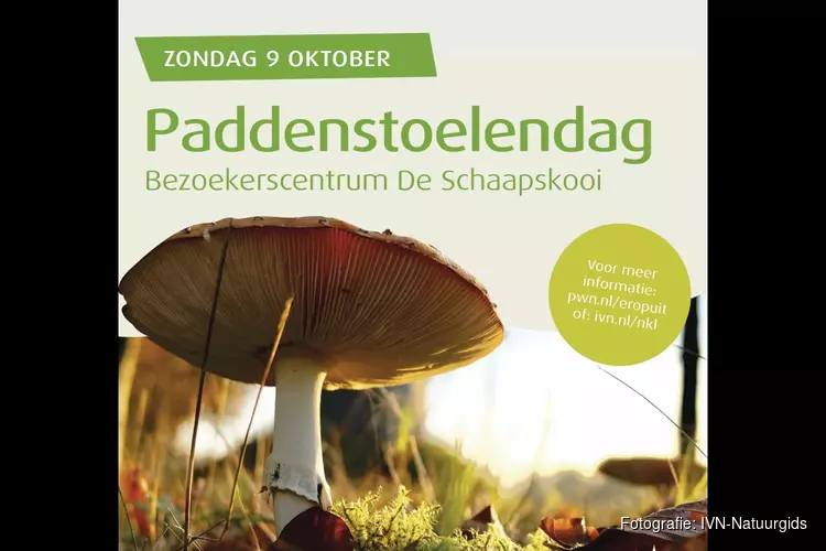 Paddenstoelenfestijn 9 oktober Schaapskooi Bergen