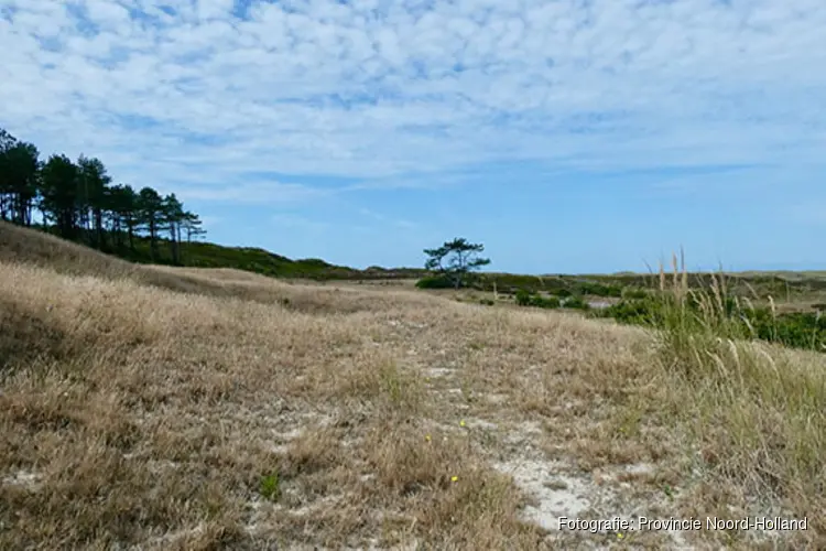 Werken aan gezonde duinen in Bergen aan Zee