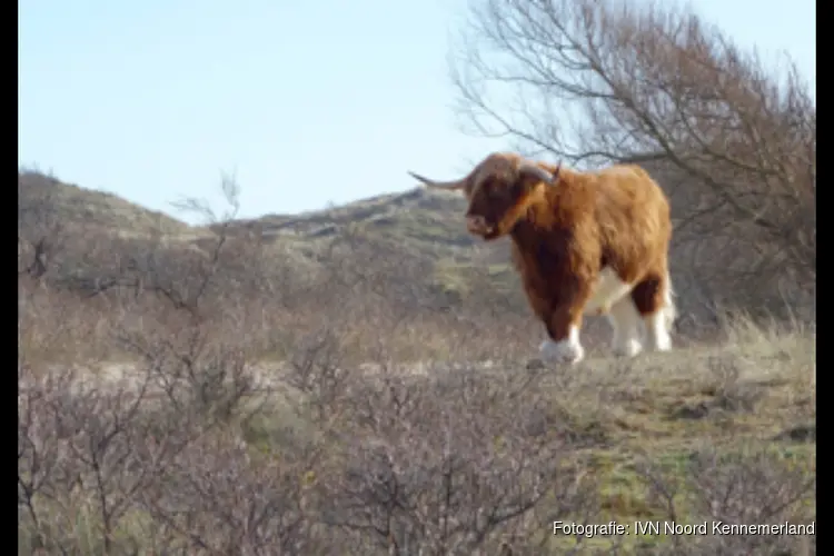 Duin- en strandwandeling