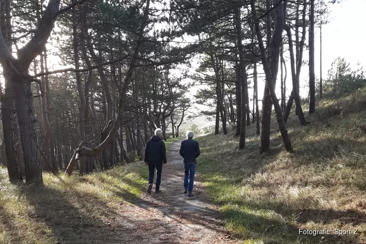 Succesvolle start nieuw project Sport-Z in gemeente Bergen: wandelingen voor mensen met een haperend brein