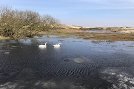 Duin- en strand-wandeling 19 maart