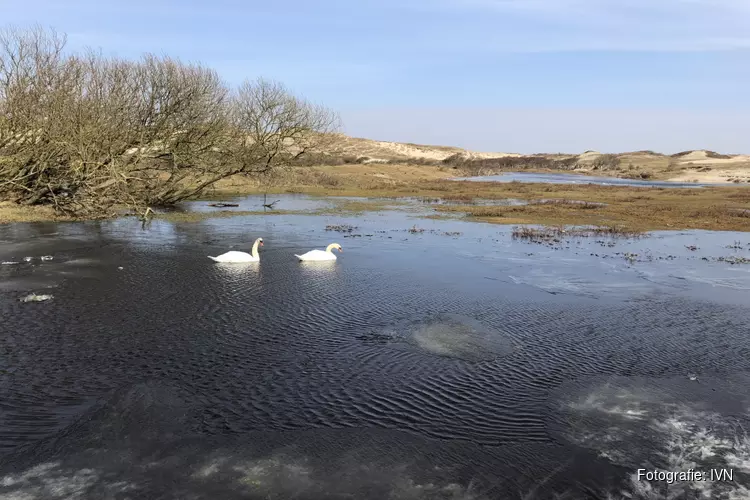 Duin- en strand-wandeling 19 maart