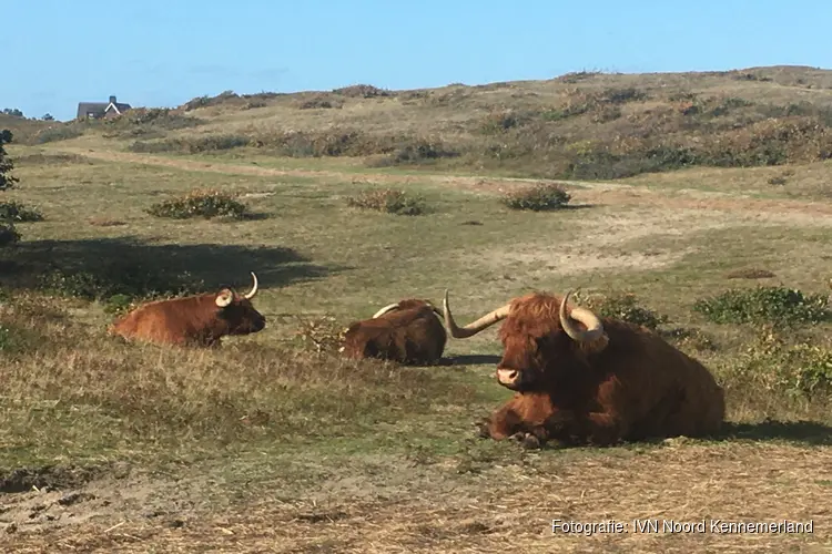Natuur- en cultuurwandeling Bergen aan Zee
