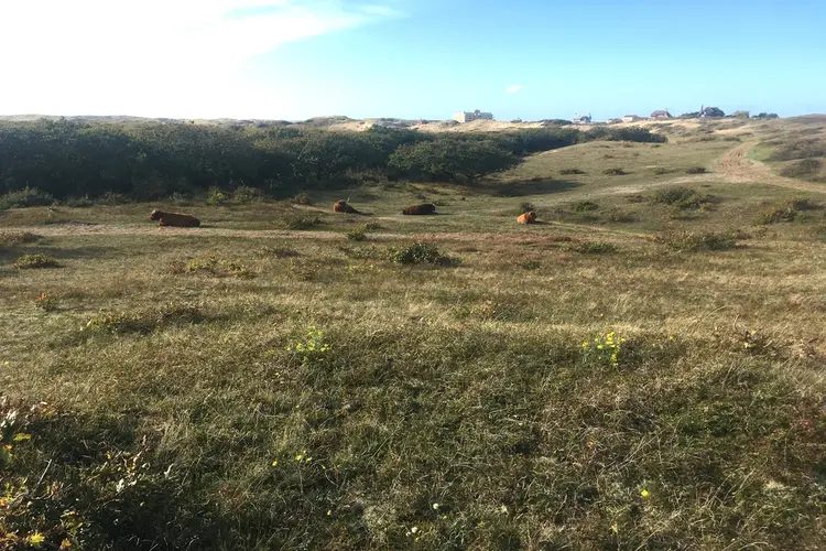 Natuur- en cultuurwandeling Bergen aan Zee