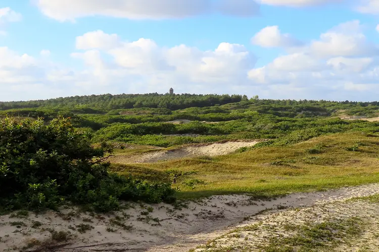 Wandeling in Bergen aan zee - daar waar Adriaan van Dis zijn jeugd doorbracht