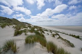 Staatsbosbeheer organiseert Cleanup Day in Schoorlse Duinen