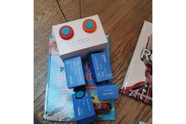 De PrutsHubDagen: Build Your Own Robot