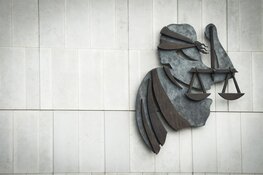 PWN mag bomen in grijze duinen bij Bergen kappen