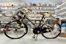 Concurrentie voor Flowerbikeman!