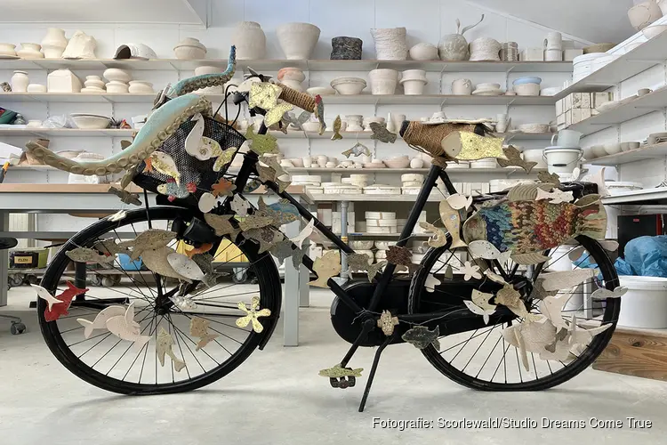 Concurrentie voor Flowerbikeman!