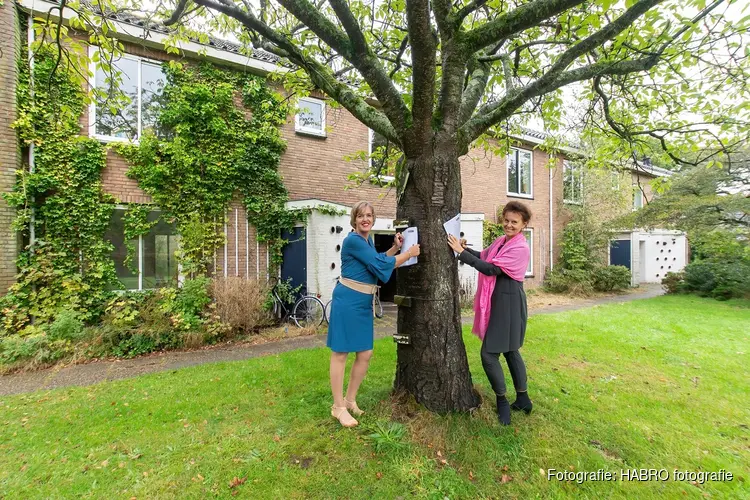 Nieuwe fase voor bouw sociale huurwoningen Elkshove in Bergen