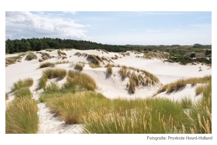 Natura 2000-beheerplan Schoorlse duinen geëvalueerd: inzet voor natuur blijft belangrijk
