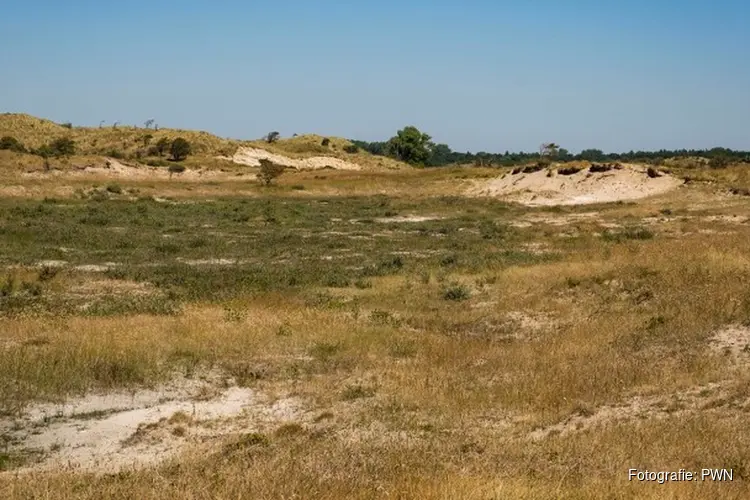 Start werkzaamheden dennenbos Bergen aan Zee