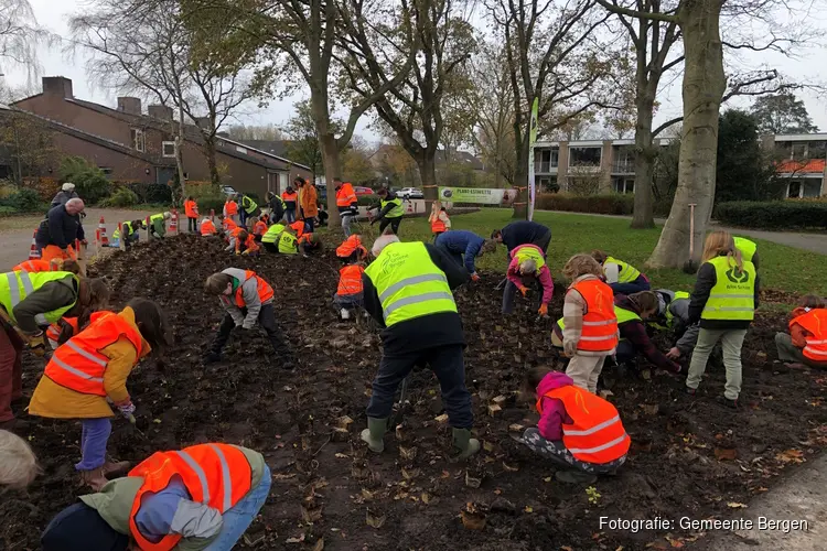Bewoners van de Rekere geven de wijk kleur