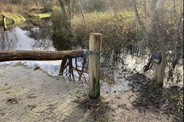 Op verkenning in de kletsnatte duinen