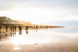 Lucas Nieuweboer zorgt na 18 jaar voor Nederlandse winst bij NN Egmond Halve Marathon