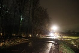 Boom blokkeert weg in Bergen, te gevaarlijk om op te ruimen