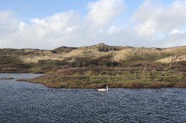 Duin- en strandwandeling in Bergen aan Zee