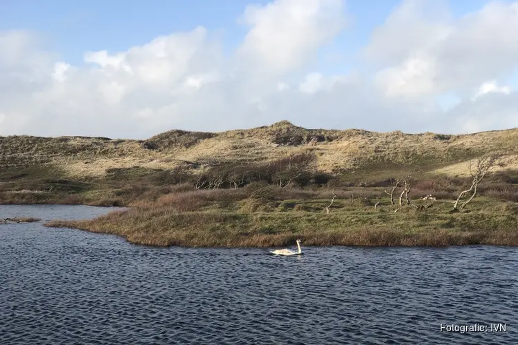 Duin- en strandwandeling in Bergen aan Zee
